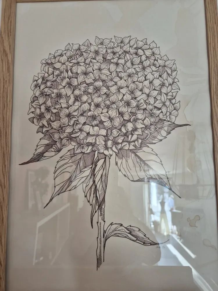 artiste-aquarelle-galerie-boutique-58